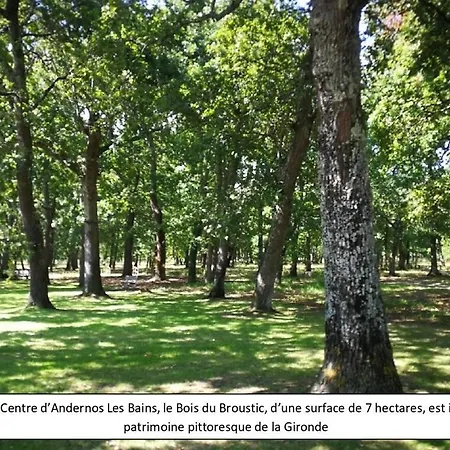 La Maison Du Parc Plein Centre Et à 200 M Hébergement de vacances