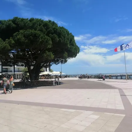 La Maison Du Parc Plein Centre Et A 200 M