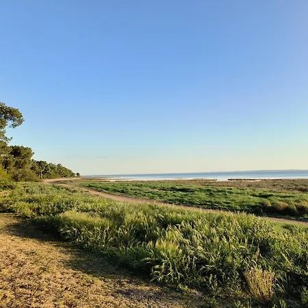 Hébergement de vacances La Maison Du Parc Plein Centre Et à 200 M Andernos-les-Bains