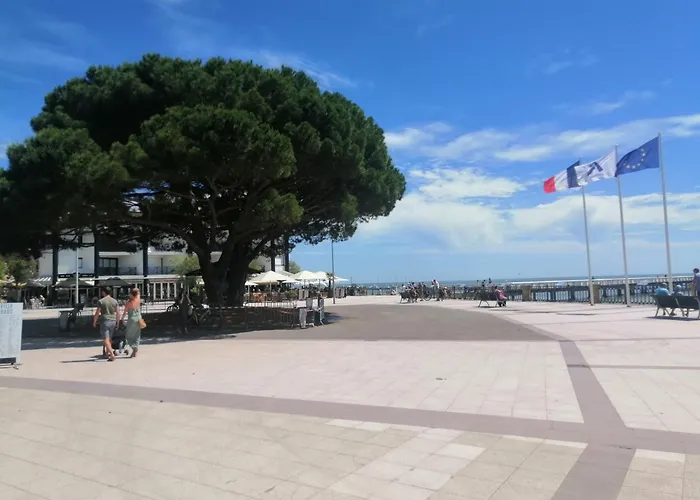 La Maison Du Parc Plein Centre Et A 200 M