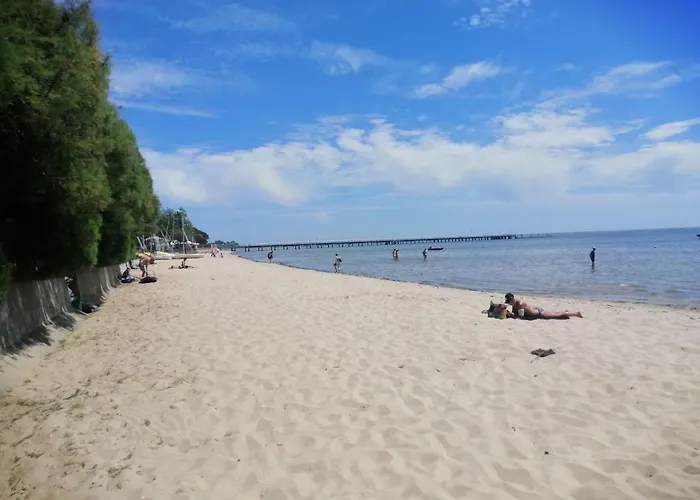 La Maison Du Parc Plein Centre Et A 200 M *