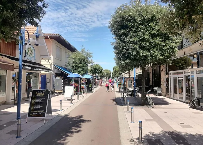 La Maison Du Parc Plein Centre Et A 200 M Andernos-les-Bains